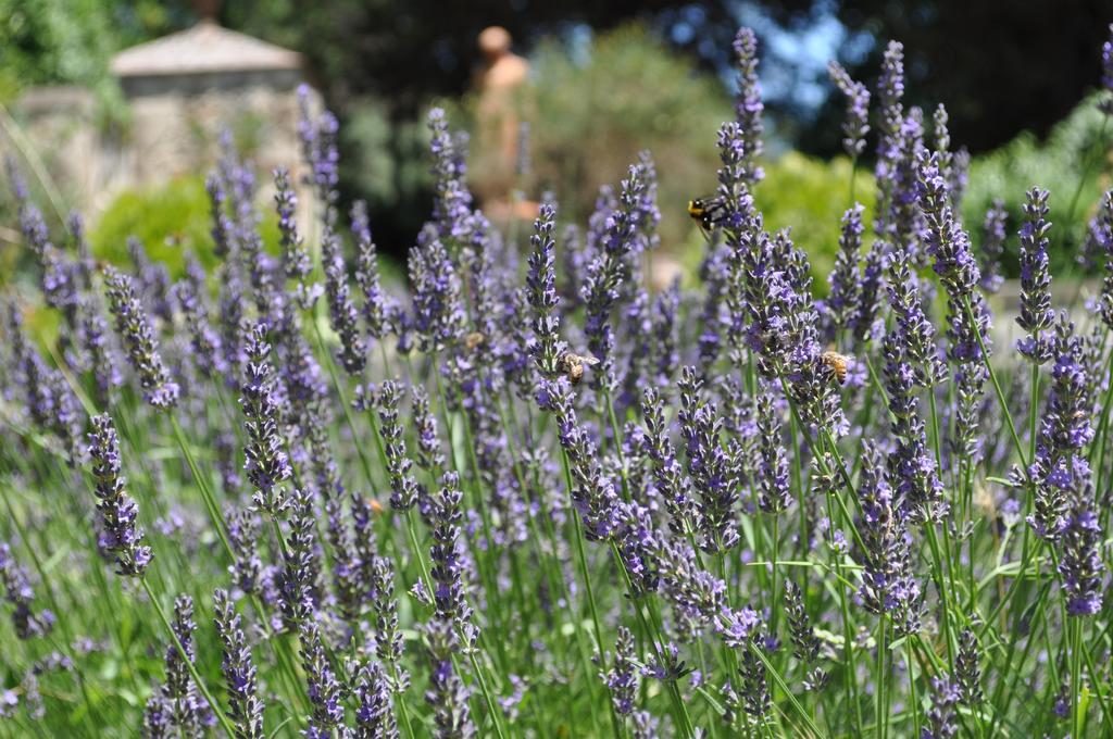 Armonie Di Incontri Bed and breakfast Florencia