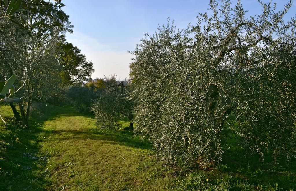 Armonie Di Incontri Bed and breakfast Florencia