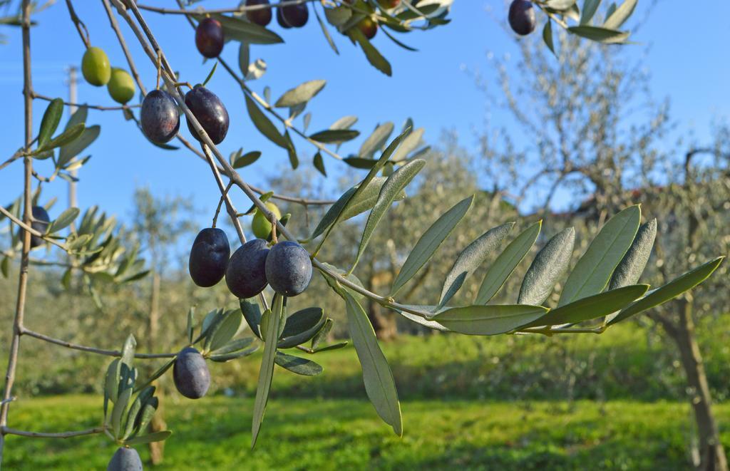 Bed and breakfast Armonie Di Incontri