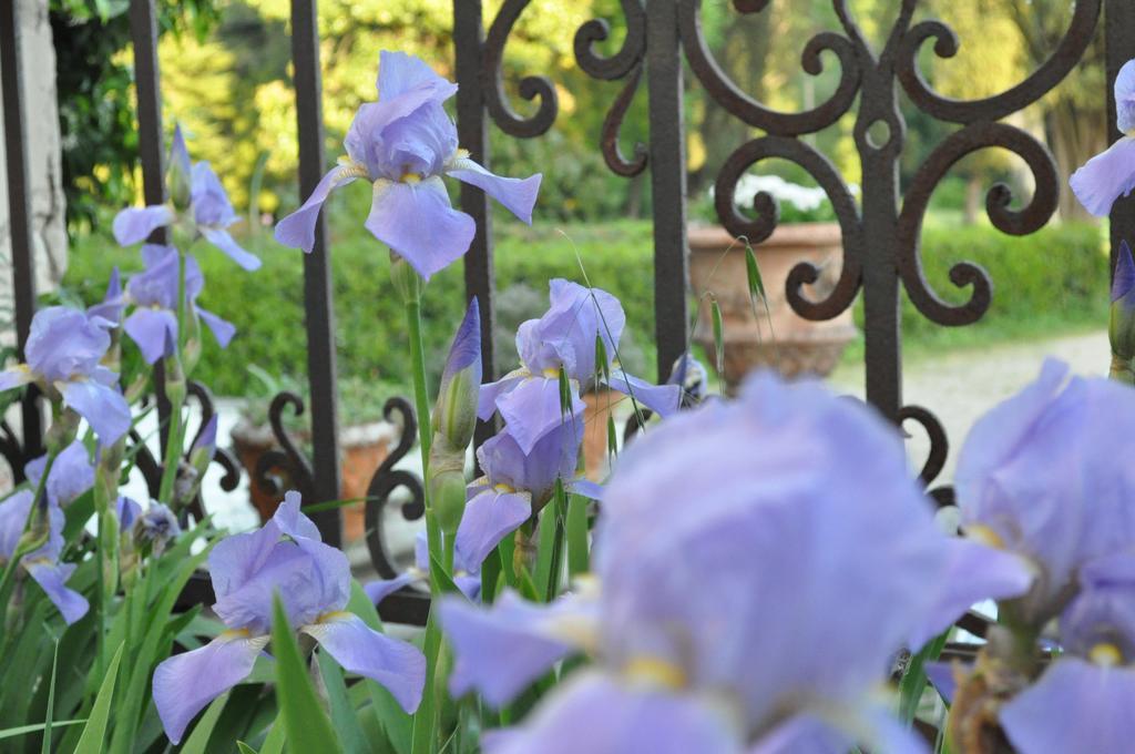 Bed and breakfast Armonie Di Incontri 3*