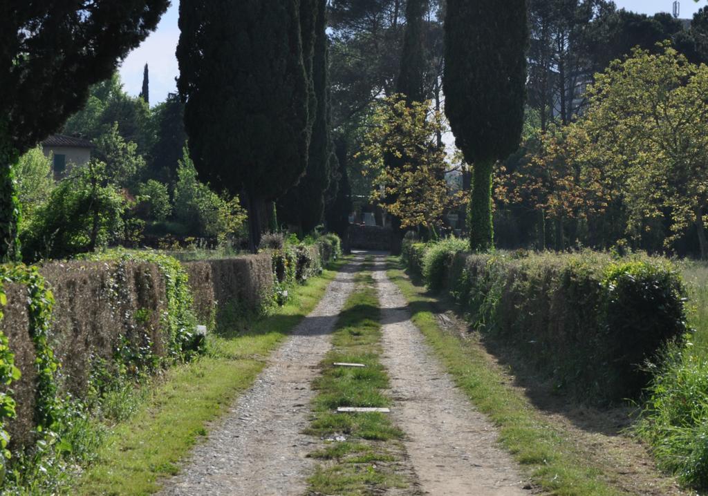 Armonie Di Incontri Florencia