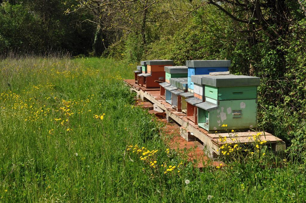 Bed and breakfast Armonie Di Incontri 3*