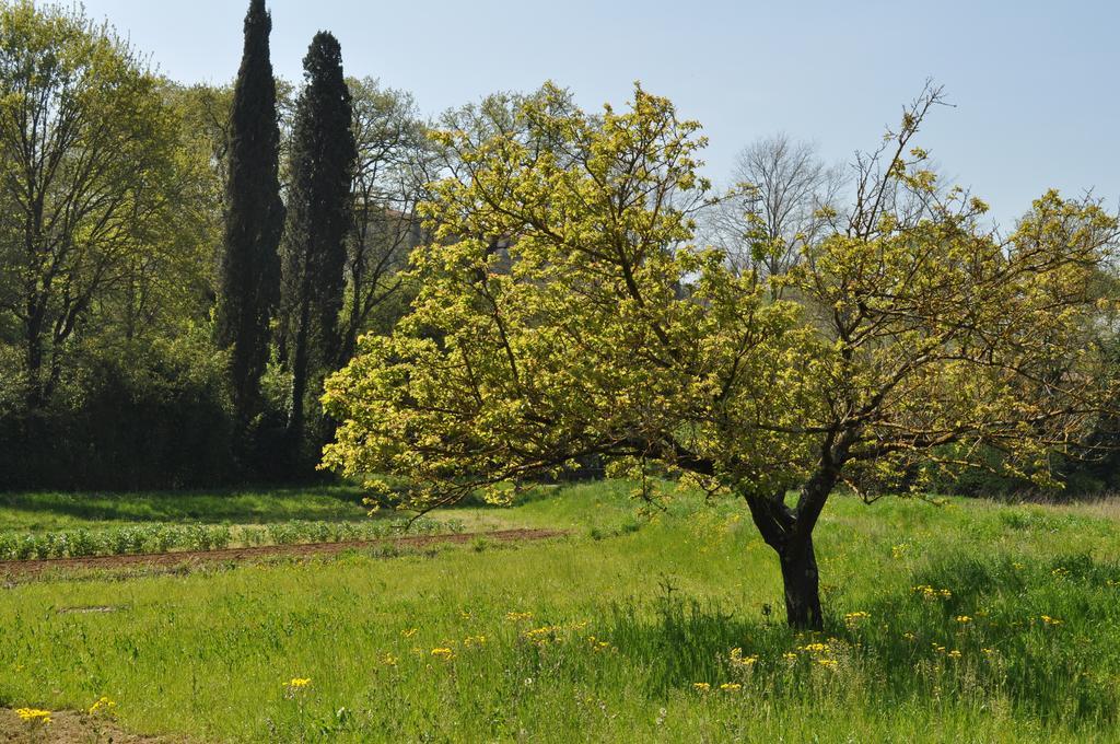 Bed and breakfast Armonie Di Incontri