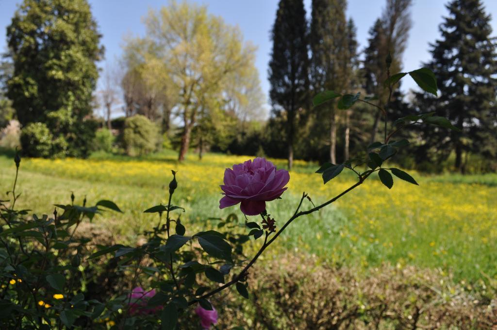 Armonie Di Incontri Bed and breakfast